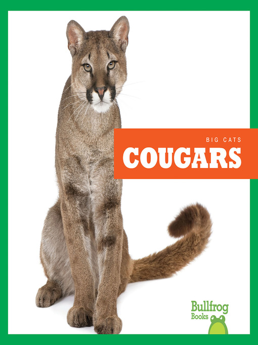 Cover image for Cougars